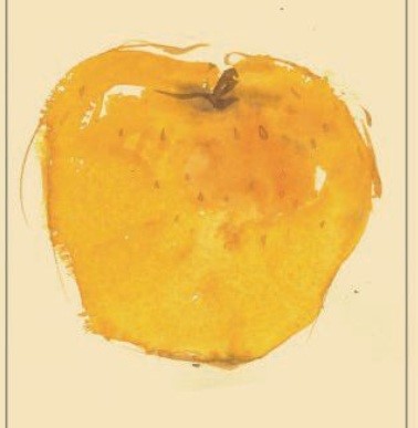 Bio Brennerei Steiner — foto 7