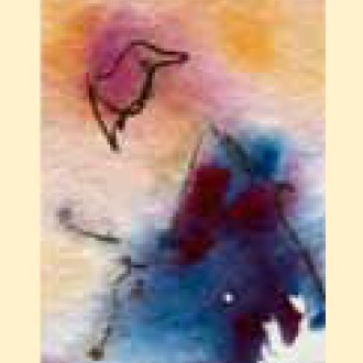 Bio Brennerei Steiner — foto 2